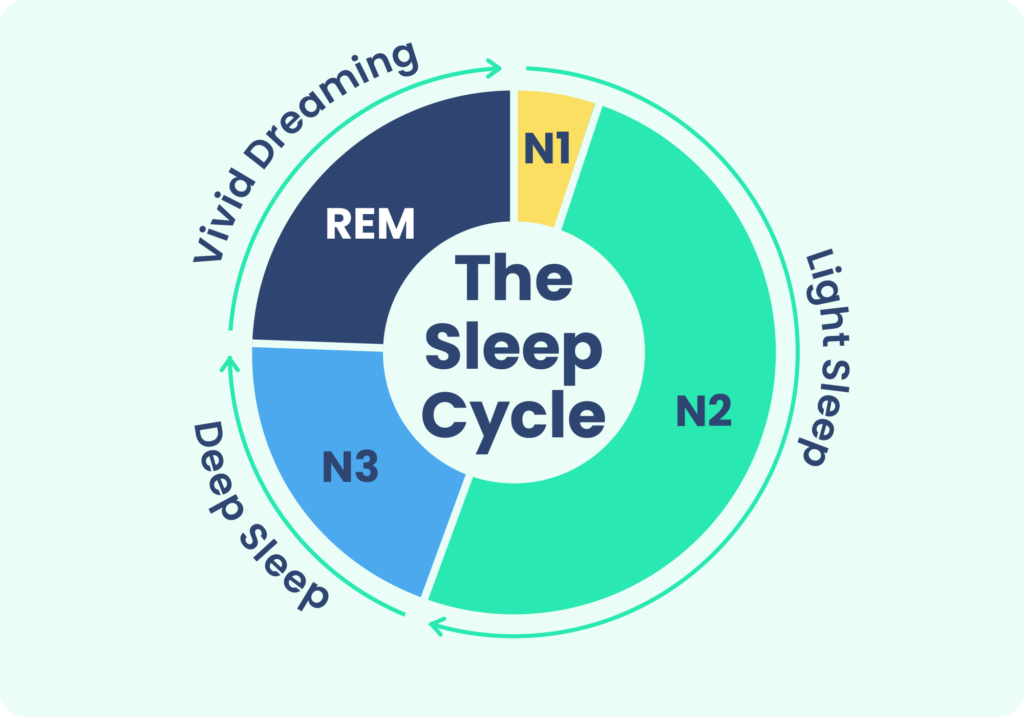 Sleep Calculator vs. Sleep Tracker: Which One Should You Use?